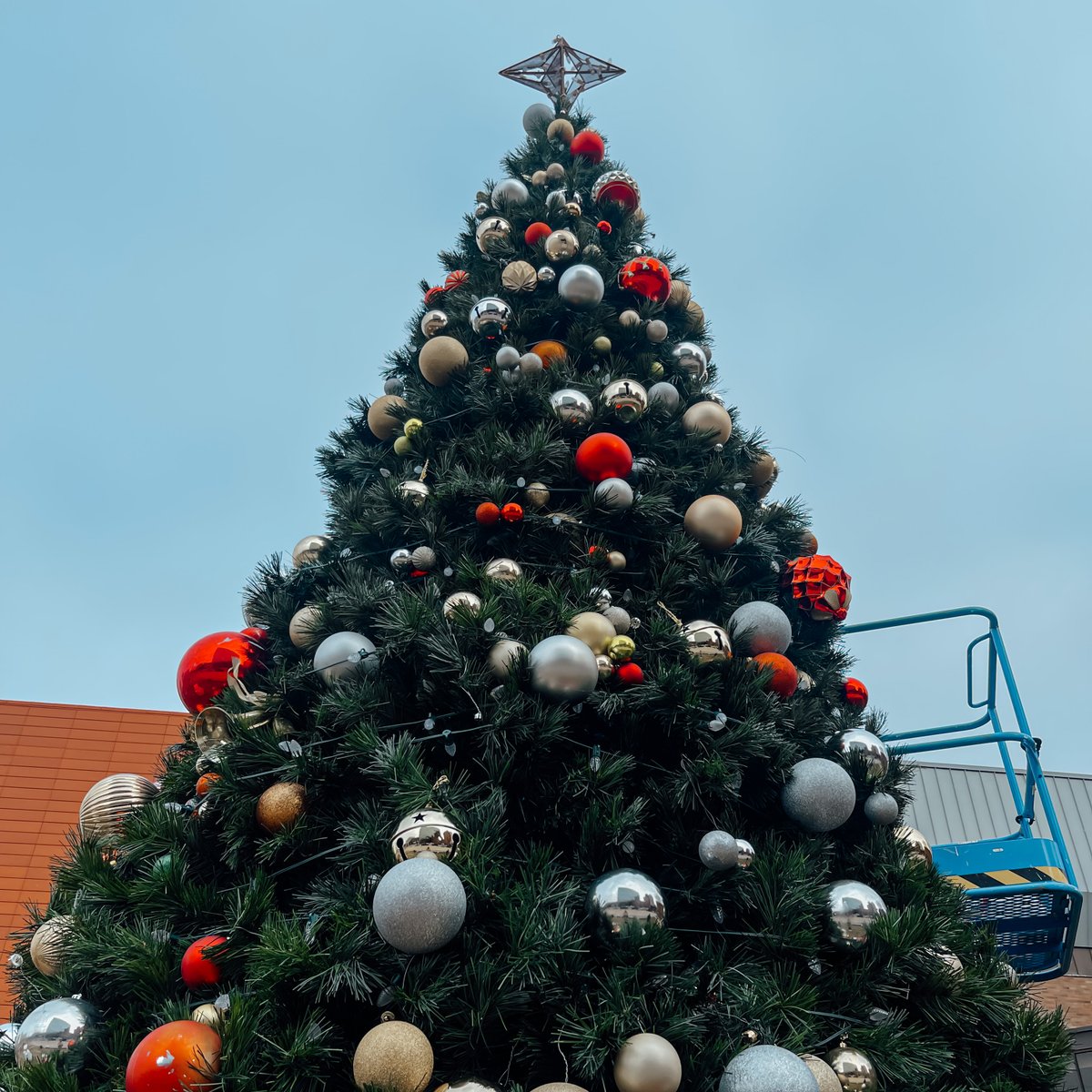 DowntownSCIowa's tweet photo. All the ornaments were hung on the tree with care, in hopes that Downtown for the Holidays would soon be there...🎄 🎁 

4 more days 🔔 https://t.co/tOuanelFq8