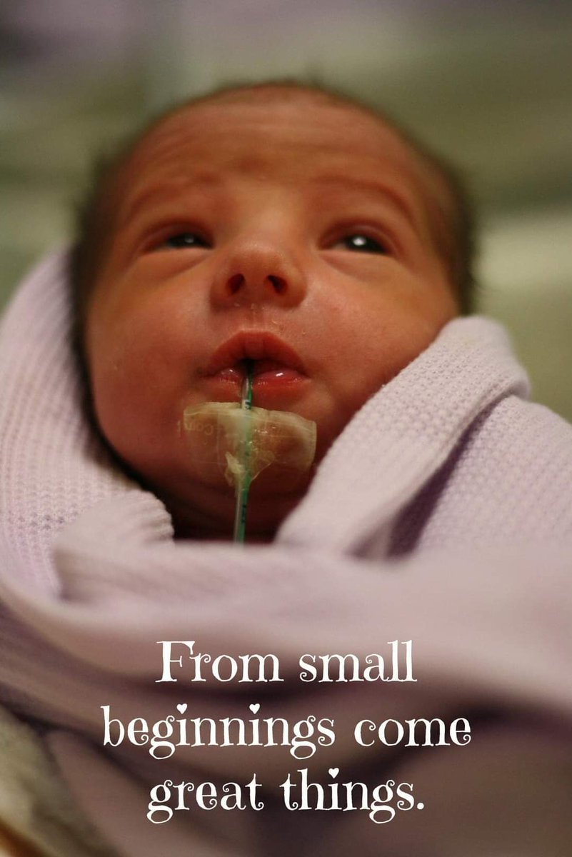 morleychops's tweet image. #WorldPrematurityDay2022 Forever grateful to the team at St Michaels @uhbwNHS for safely delivering our miracle and for the #ARGC London fertility clinic for giving us the opportunity to be parents. 

My little squish ❤️#blisscharity #PampersForPreemies