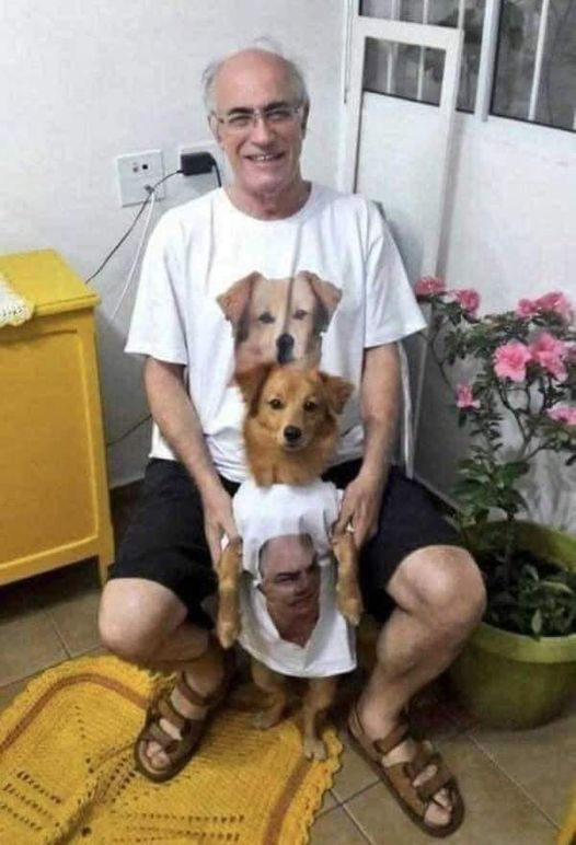 WholesomeMemes tweet media