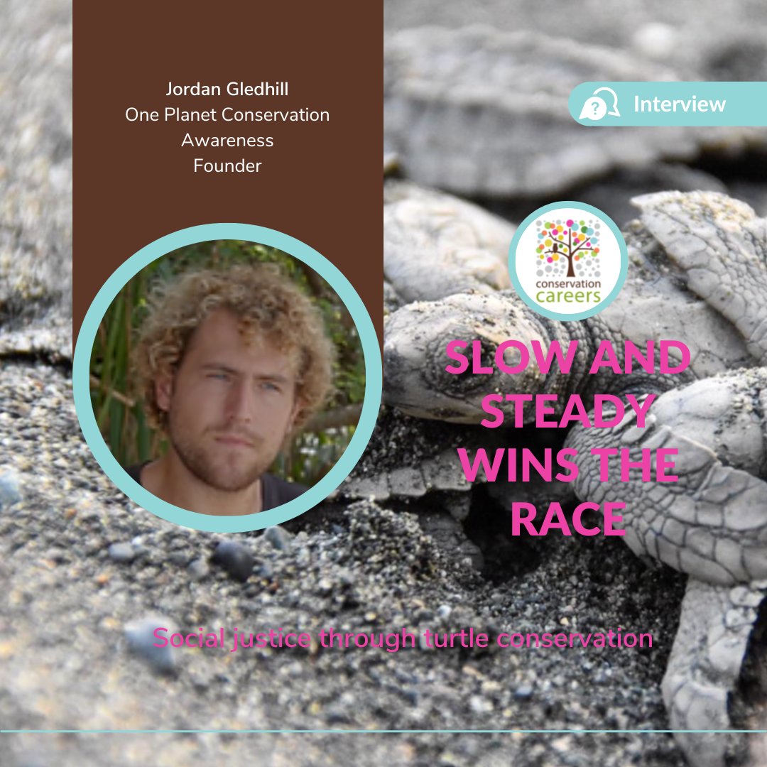 🐢 Interview Alert | Slow and steady wins the race – social justice through turtle conservation🐢

👉 To read Jordan's story, click this link: ow.ly/w0qC50LH49j

@tortugasdeosa @oneplanetconse1 

📷 COPROT

#ConservationCareers#WildlifeConservation#ConservationJobs