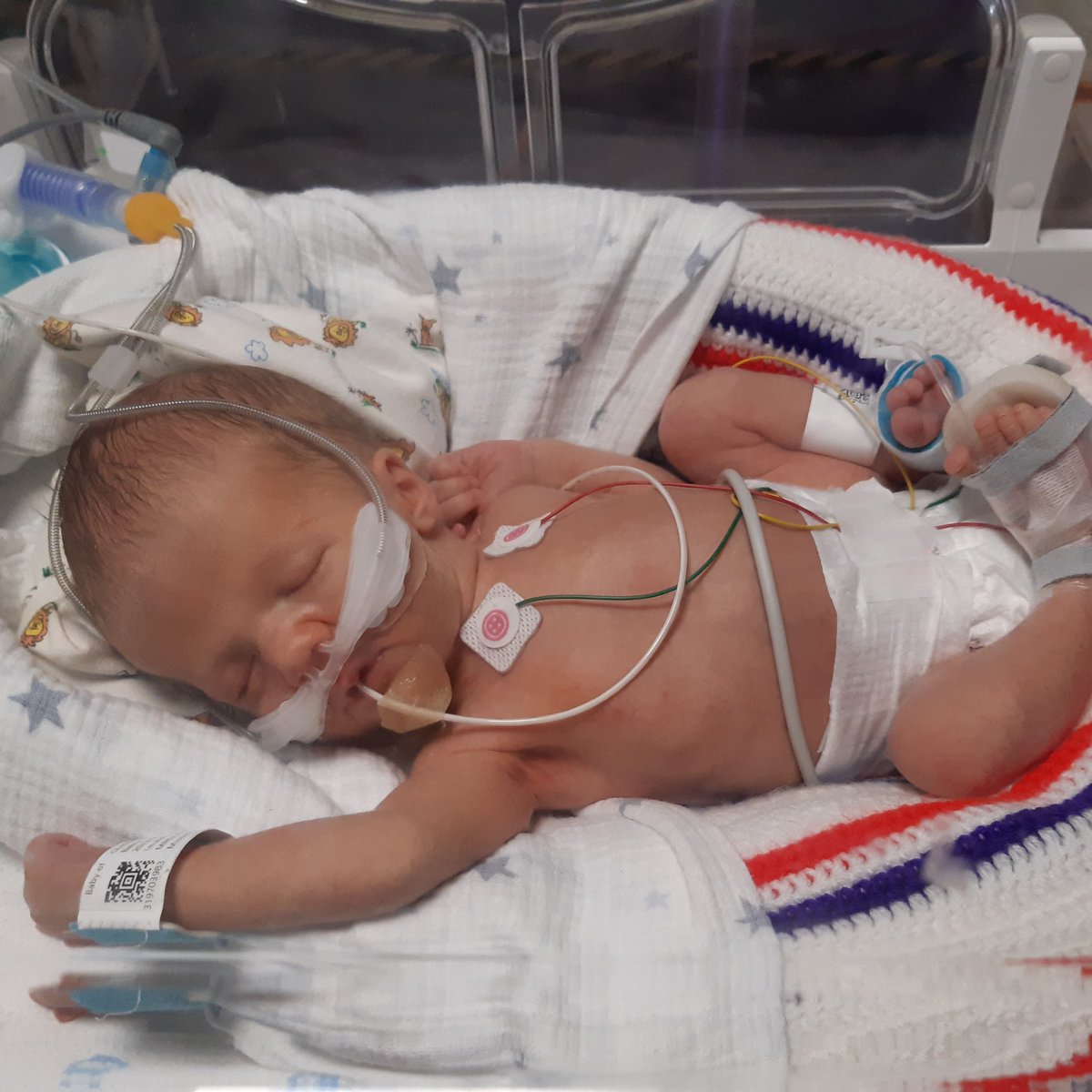 Amy SNUG tweet media