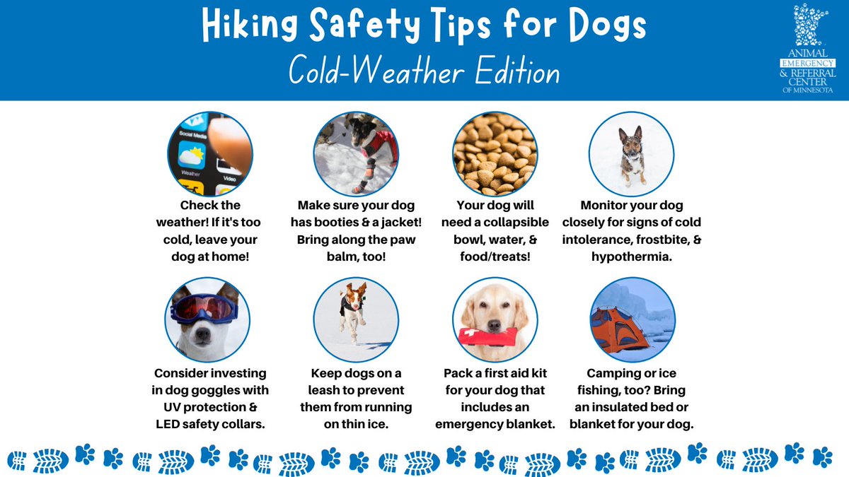Today is #NationalTakeaHikeDay! If your dog loves to join you for cold-weather hikes, check out the graphic for a few safety tips before you head to your favorite dog-friendly hiking trail!

#minnesota #mndogs #petsafety https://t.co/eyE9Z41nmY