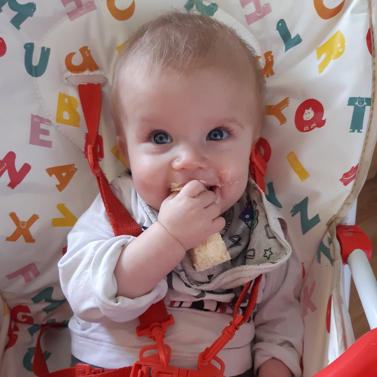 Amy SNUG tweet media