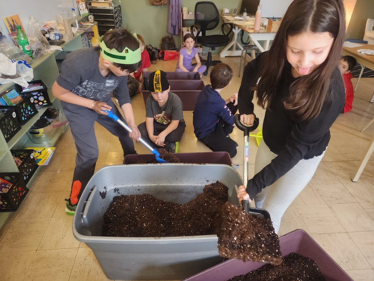 MsFitzSWA's tweet photo. Sending them all home covered in dirt today! 🤣 They had a great time setting up their LGT earth boxes + transplanting seedlings! Cucumbers + salad mix are growing great - we're waiting "patiently" for our tomatoes + nasturtiums 🍅 @LGTmaureen @littlegrnthumbs @AITCNL @SWATigers https://t.co/0tWG4YOXrq