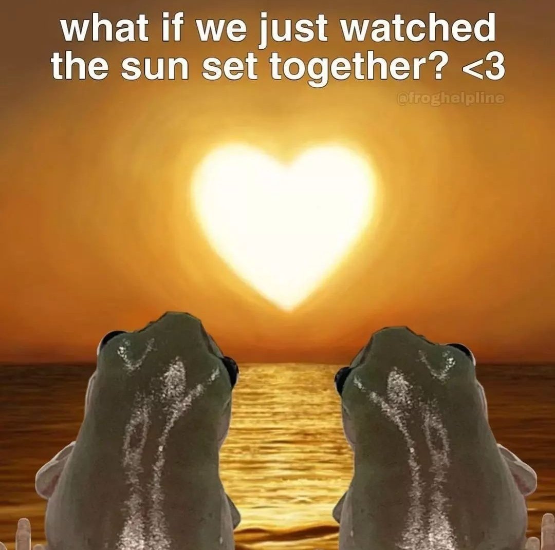 Amphibian 𓆏 (@amphhibian) on Twitter photo 