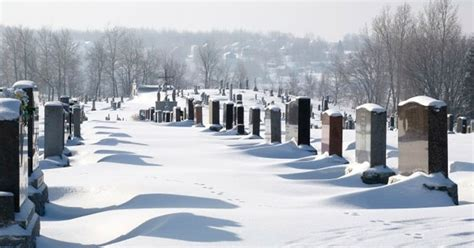 🇨🇦 Merlin 🇨🇦 tweet media