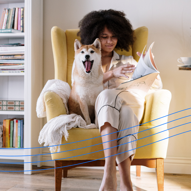 Free stock rewards get Fido excited too 😍 Shop with thousands of brands through the Bumped Shopping Extension and automatically get fractional shares of stock for your purchases 🙌 #BumpedRewards