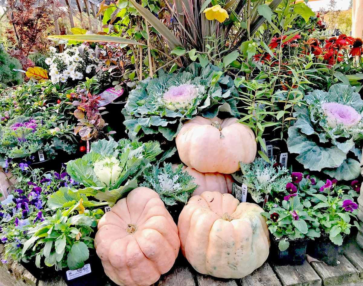 West Seattle Nursery tweet media