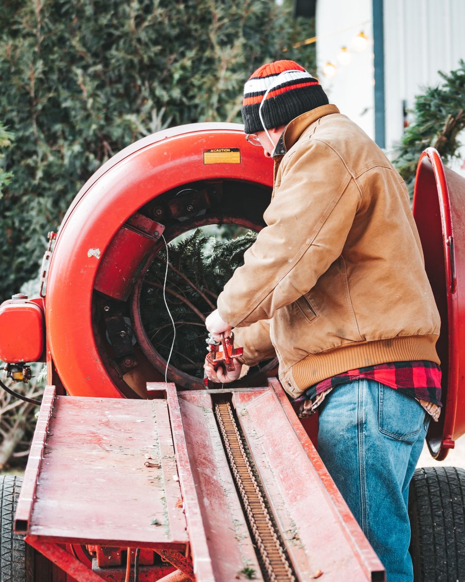 Meet Conifera Tree Farm! Conifera Tree Farm is a 20 acre Christmas Tree farm in Harvard, Illlinois. Learn more about their farm ⤵️ bit.ly/3GhjI6k 📸 : K-Adams Foto