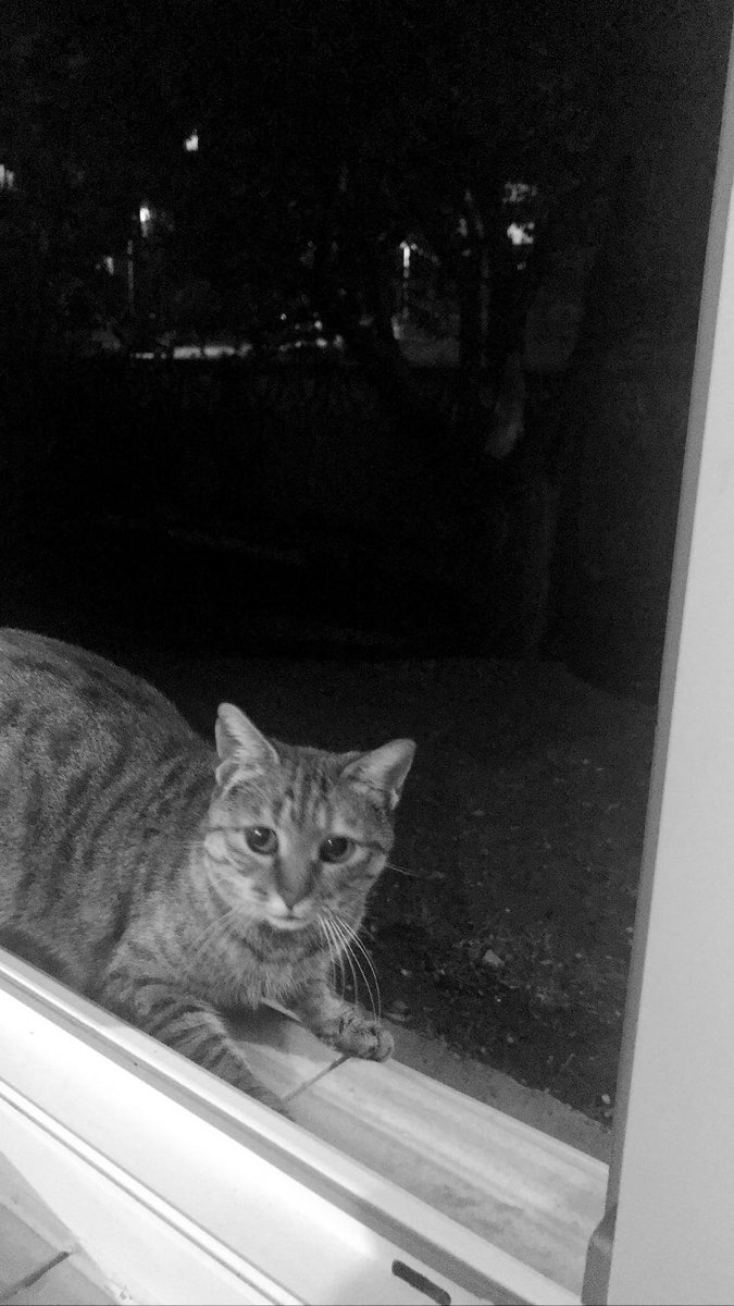 Her gece şöyle bi şey ile göz göze geliyoruz