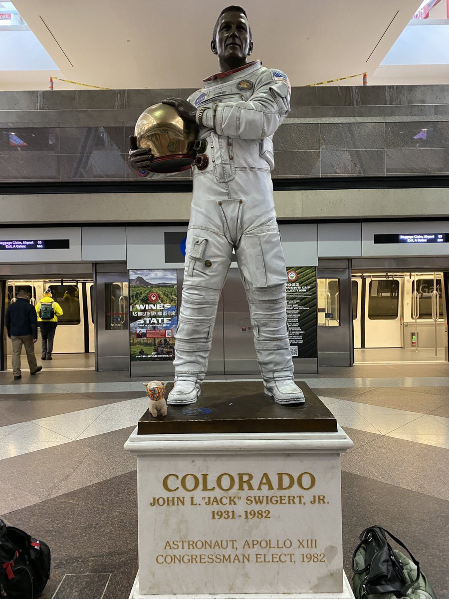 Sarah Perry (she/her) tweet media