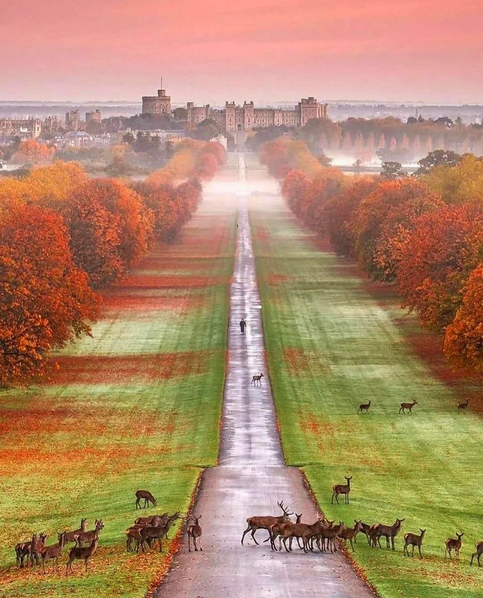 Windsor Castle, United Kingdom 
#windsorcastle #unitedkingdom #royalresidence #lovelyterra #Windsor 
📸travelworld_214