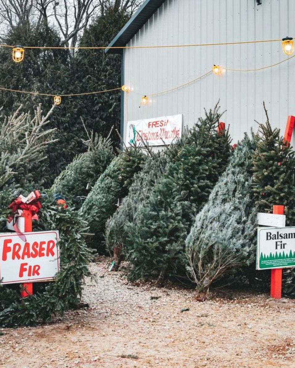 Naturally McHenry County tweet media