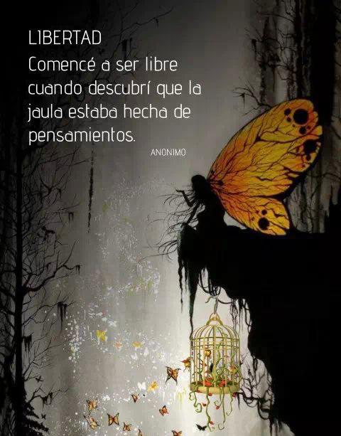 Gracee33's tweet photo. Vuela libre, deja que tu alma te conecte con lo más profundo de tu ser, permítete y permite que los demás también sean libres.

“Recuerda que no estás solo y rendirse no es una opción “

#libertad #amor #vida https://t.co/vo3vMFeqP8