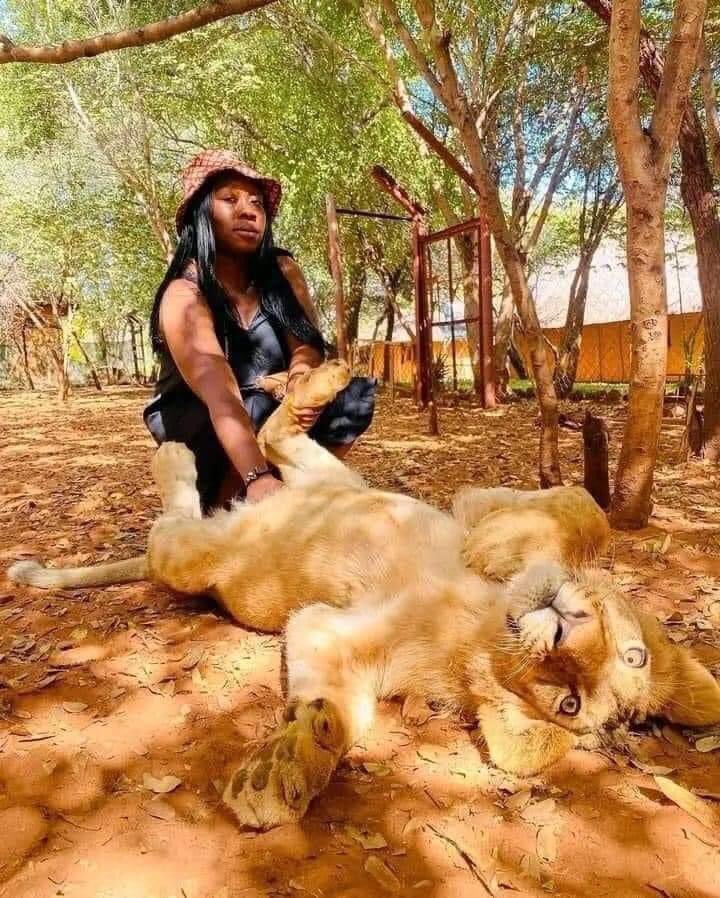 Is there an impossibility with this gender? I doff my hat to them!