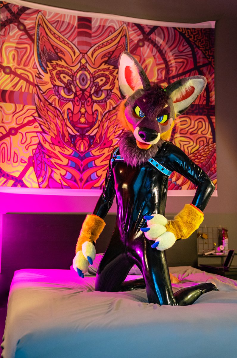 Antares 🔜 FWA tweet media