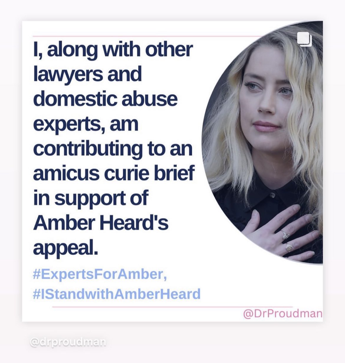 On Twitter Amicus Briefs Are Very Common At The Appellate on-twitter-amicus-briefs-are-very-common-at-the-appellate