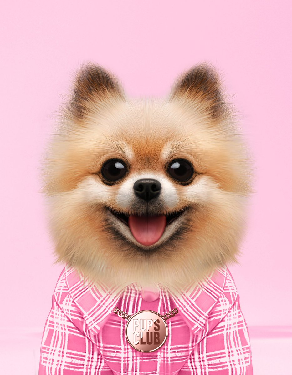 Pups Club 🐶 🐾 SOLD OUT! tweet media