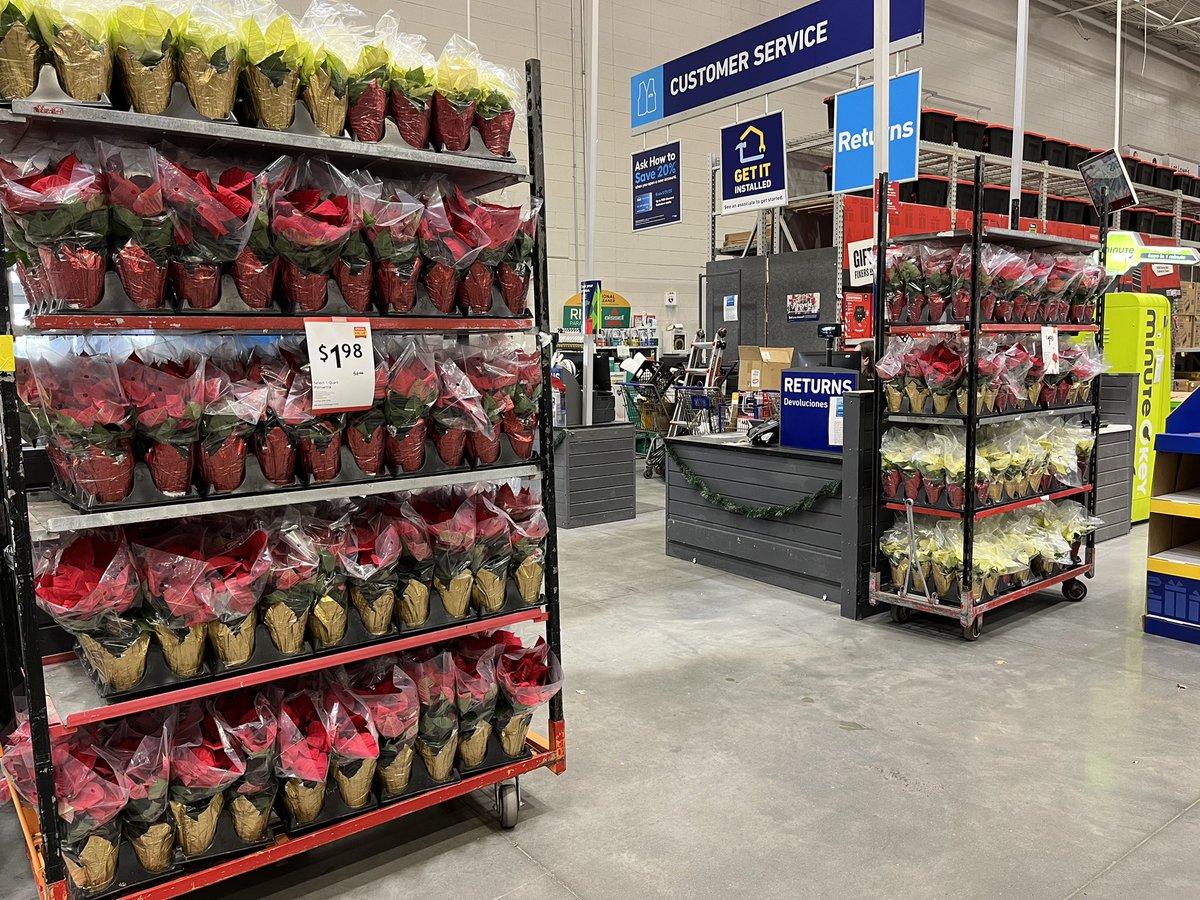 Feeling Festive here at #2687 East Lancaster Lowes.  Stop on in for the Special Value $1.98 select 1-quart Poinsettias….<a href="/PlantPartners/">Planting Partners Nursery</a> <a href="/DamonBennettR7/">DBennett</a> <a href="/JHoffmann2207/">Joe Hoffmann</a> <a href="/LBishPlants/">Lora Bishop</a> <a href="/KPlantPartners/">Kaitee_PlantPartners</a> <a href="/JG_Battlefield/">Jill Guth</a>
