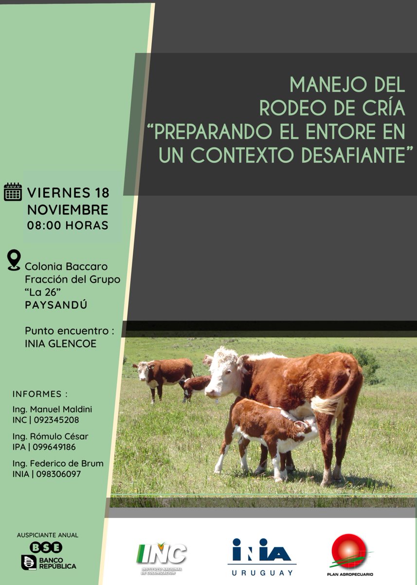 🗓️#Viernes 18/11⏰8hs📍Colonia Baccaro, Fracción del Grupo "La 26"📌<a href="/INIA_UY/">INIA URUGUAY</a> Glencoe 
Jornada "Manejo del rodeo de cría "Preparando el entore en un contexto desafiante".
Ings. Manuel Maldini, Rómulo Cesar <a href="/efederiko/">Federico de Brum</a> 

¡Te esperamos!
#INC #INIA #PlanAgropecuario