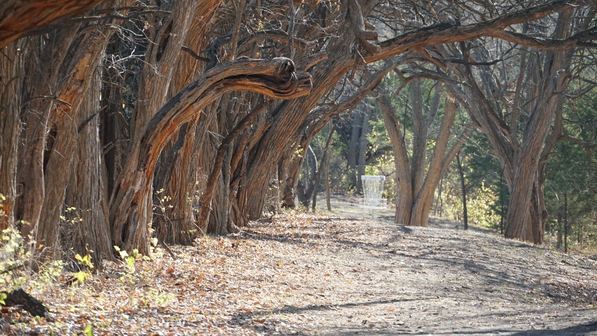PopTopDiscGolf's tweet image. We played Doubles at one of the top courses in Nebraska! Beal Slough in Lincoln NE Check out the front 9 and back 9 here youtu.be/xaLsjqJhrnI
youtu.be/nZ7dRmhyX-U