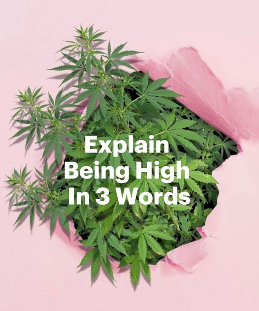 High thoughts that will instantly snap your mind in half. 🙃

Read: bit.ly/3DjjXKh