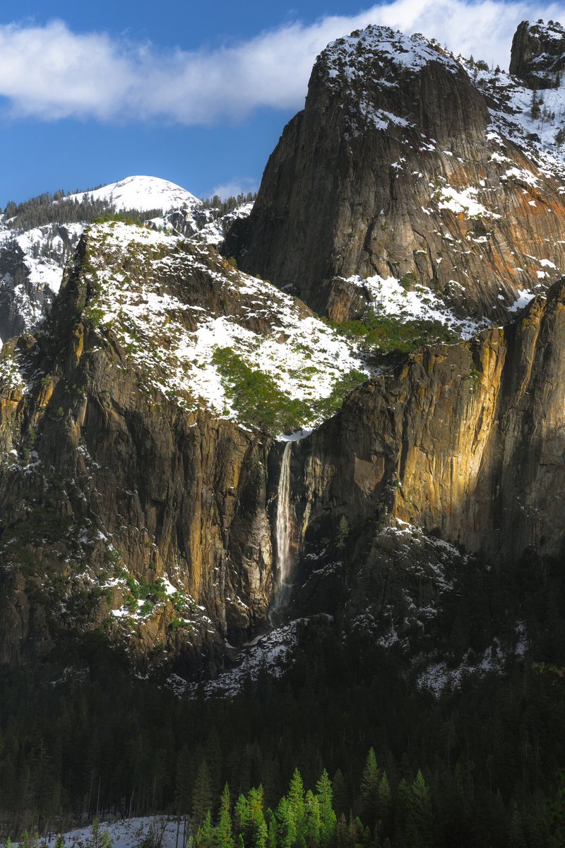 Marshall Scheuttle tweet media