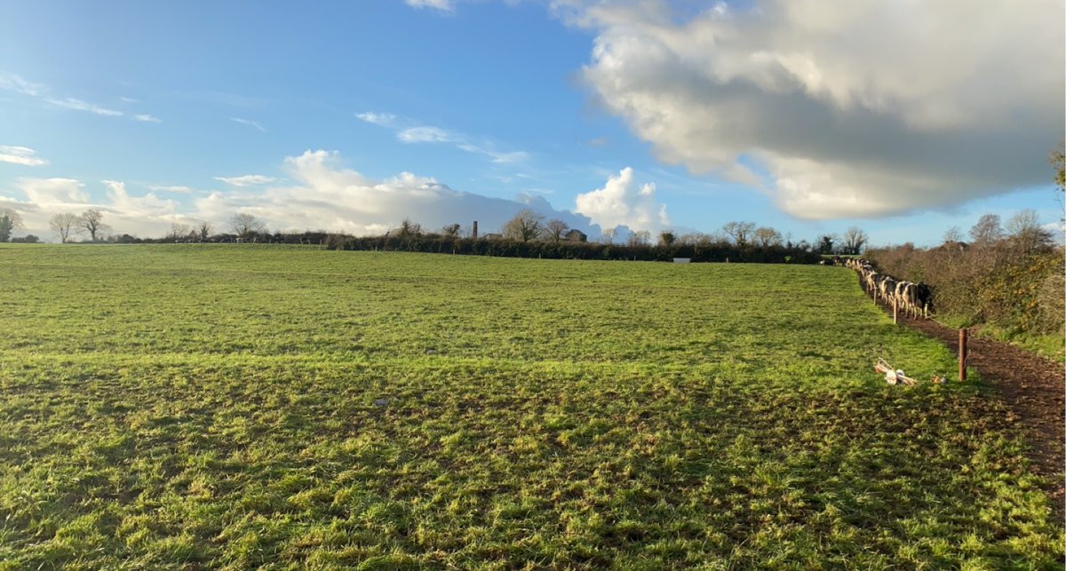 Scrape of a 6ft grading bucket and a couple loads of stone in July paying off in November.