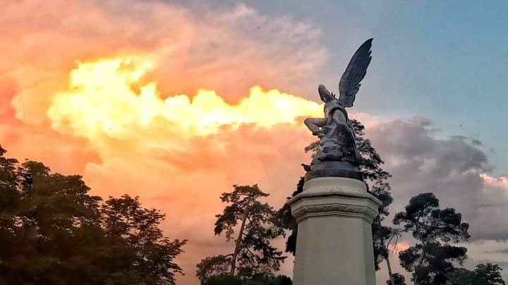 ConParadas's tweet photo. #BuenasNochesMadrid #Sueñen ✨
📷 Antonello Dellanotte https://t.co/qKaoeWMqVQ
