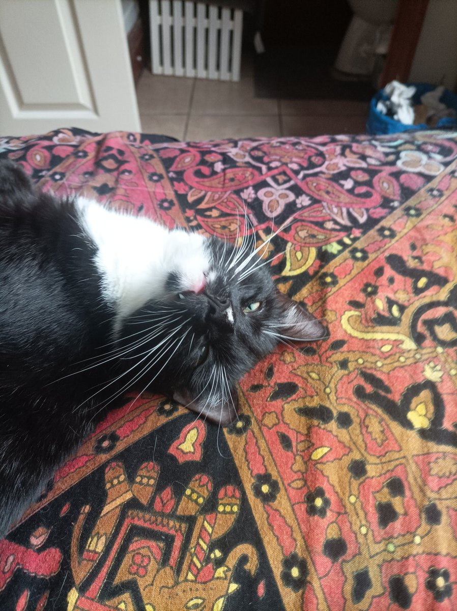 Buttons03425259's tweet photo. @rickygervais Or you could just be a spanner. https://t.co/DhQU4uSmQ2