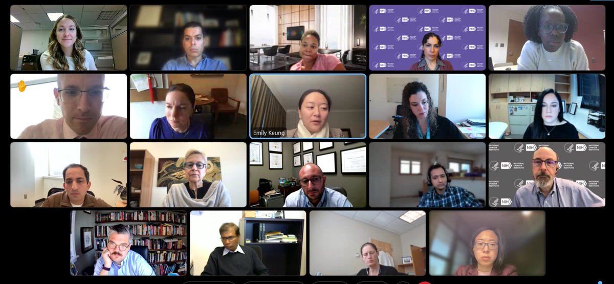 mzeigermd's tweet photo. @theNCI ESSP and @AmCollSurgeons NSSP awardees meet with @NCI_Training for a mock study session of K08 and R01 grants. Great discussions! @NCI_Bogler @Nas_Zahir @LDemblowski @NIH https://t.co/eU8LKTmIzA
