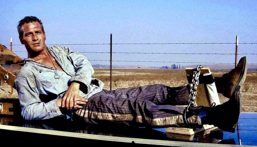 BoldenSkip's tweet photo. Paul Newman in, Cool Hand Luke (1967) https://t.co/BQje5F6BTE