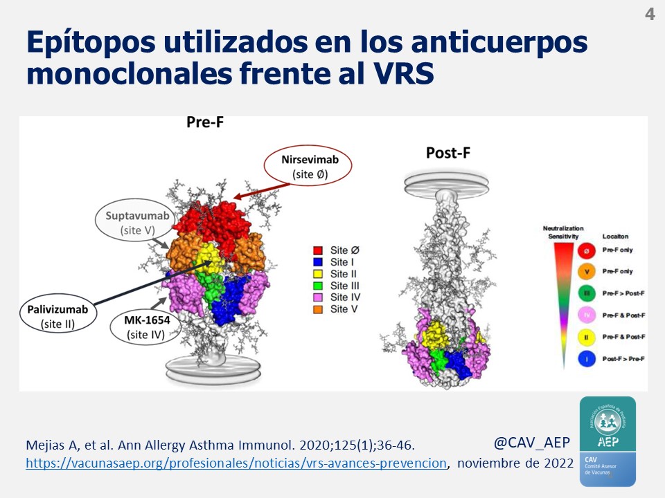 Comité Vacunas e Inmunizaciones-AEP tweet media