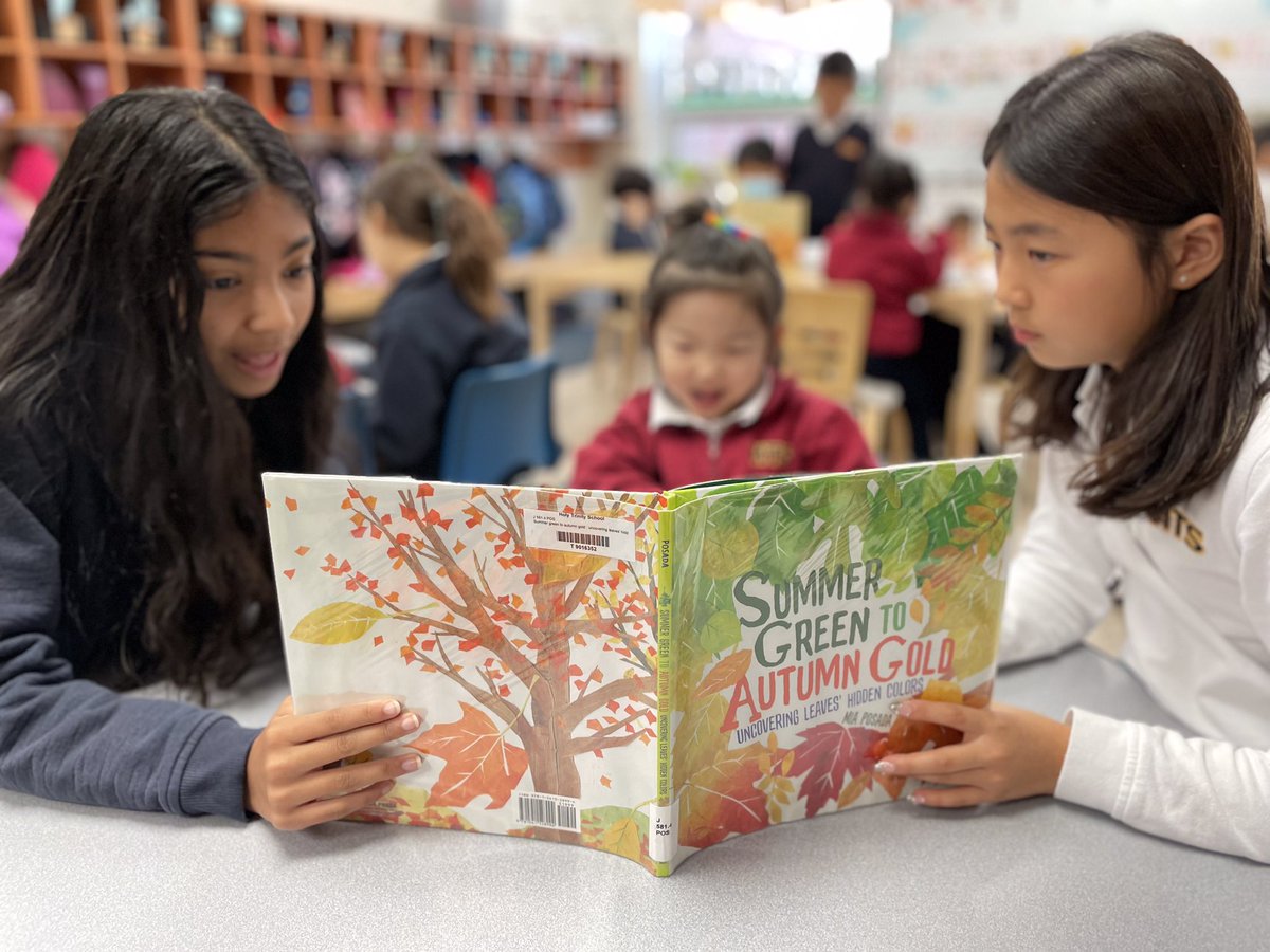 HTS_Kindies's tweet photo. We ❤️ our #readdingbuddies! 📚📖 #BetterTogether❤️ #ReadingThursday #dailyreadaloud @ConnieRanieri @HTSRichmondHill https://t.co/gsdM3FDyIM