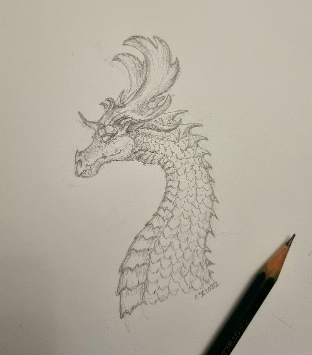 CamfieldBecky's tweet photo. Just a sketch I did today that I decided to work a bit longer on. I liked the horns.

#dragonsketch #pencilsketch https://t.co/AfJYE8UCCw