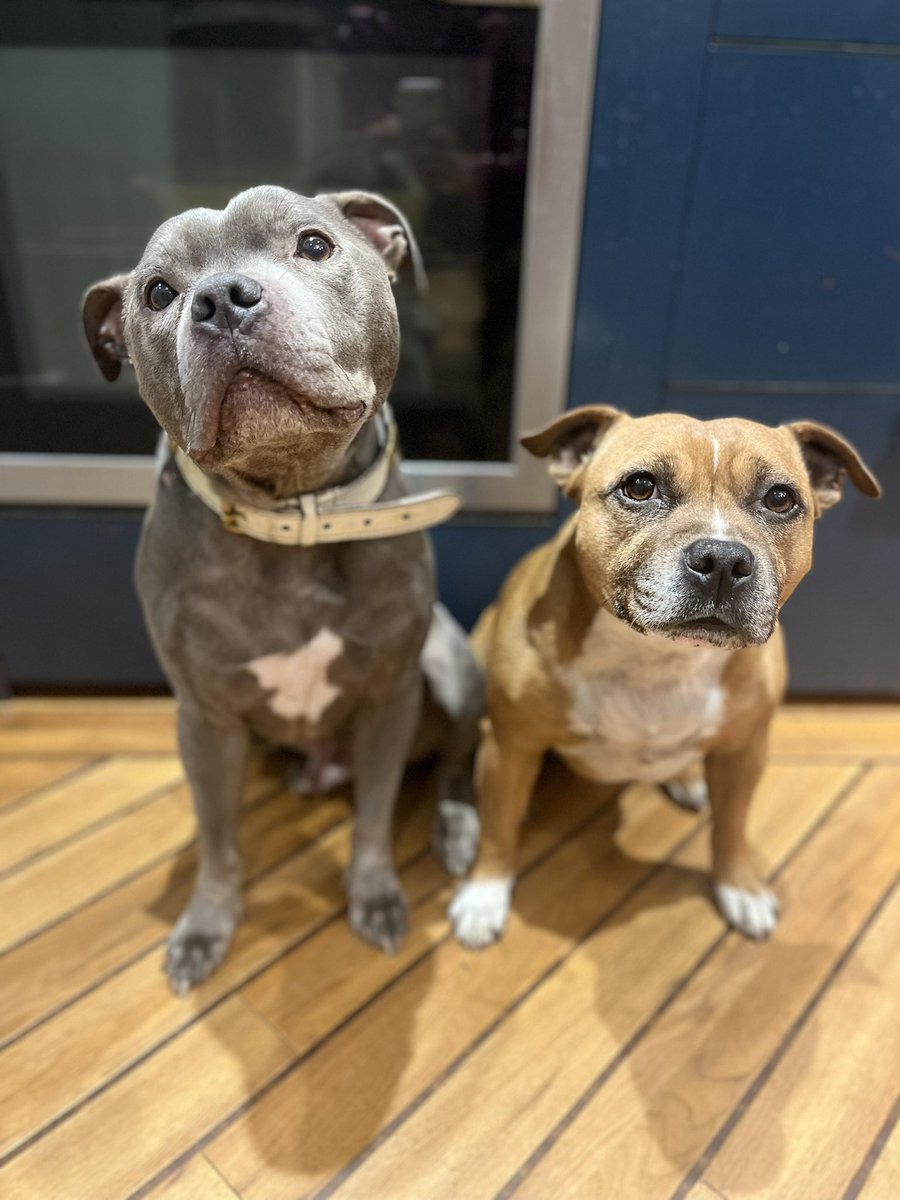 Dr Camilla Darling tweet media