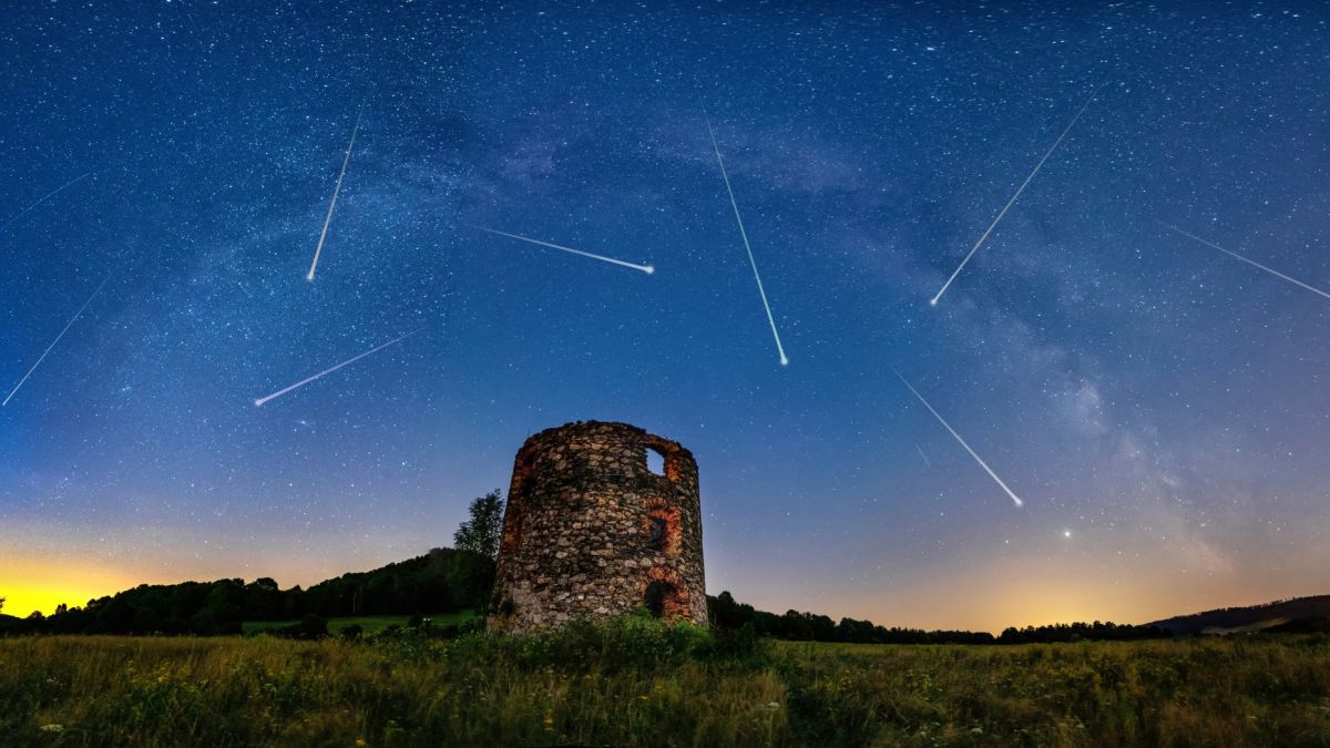 SPACEdotcom's tweet image. Make sure you&apos;re looking up for the Leonid meteor shower tonight! ⬇️
trib.al/DuSe5Bt