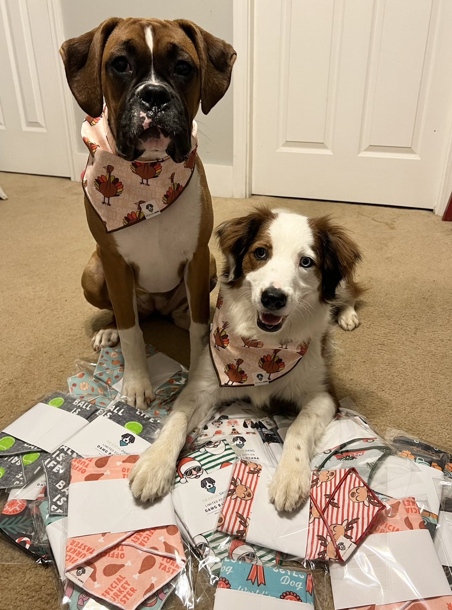 Bark_Beyond's tweet image. 📢 BIG SALE 👉 Overstocked plus Pawrents well pump went out leaving us with no water &amp;amp; $3,500 to fix it &amp;amp; right before Christmas. 😭😭😭 

Ways to help:
1) Retweet 
2) Donate to us using PayPal
3) Order from us (checkout also has a tip option) 

#donate #dogsoftwitter #cats #dogs