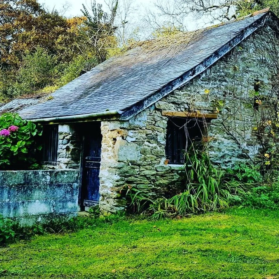 tregooseoldmill's tweet photo. Project No.4 has started! The conversion of our delightful old pigerry into a very cute and cosy holiday cottage, watch this space!
#holidayuk #holidaycottage #barnconversion #Cornwall #northcornwall #tregooseoldmill https://t.co/SEahtasnly