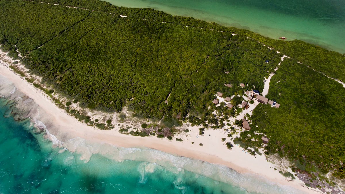 Revista Turismo (@rturismomx) on Twitter photo Impulsados por el compromiso de convertirse en uno de los primeros hoteles en #México que operen de manera completamente sustentable, <a href="/chablehotels/">chablehotels</a> provee una experiencia que honra el pasado.
#RT <a href="/ChableMaroma/">Chablé Maroma</a> <a href="/chableyucatan/">Chablé Yucatán</a> <a href="/AnotherCo/">another</a>
bit.ly/3tFV5IY Impulsados por el compromiso de convertirse en uno de los primeros hoteles en #México que operen de manera completamente sustentable, <a href="/chablehotels/">chablehotels</a> provee una experiencia que honra el pasado.
#RT <a href="/ChableMaroma/">Chablé Maroma</a> <a href="/chableyucatan/">Chablé Yucatán</a> <a href="/AnotherCo/">another</a>
bit.ly/3tFV5IY