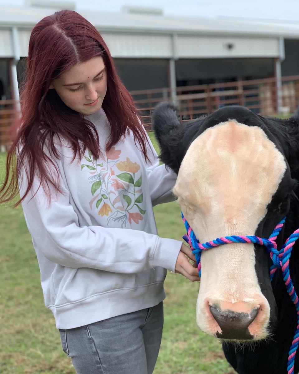 Mrs.V's Classroom tweet media