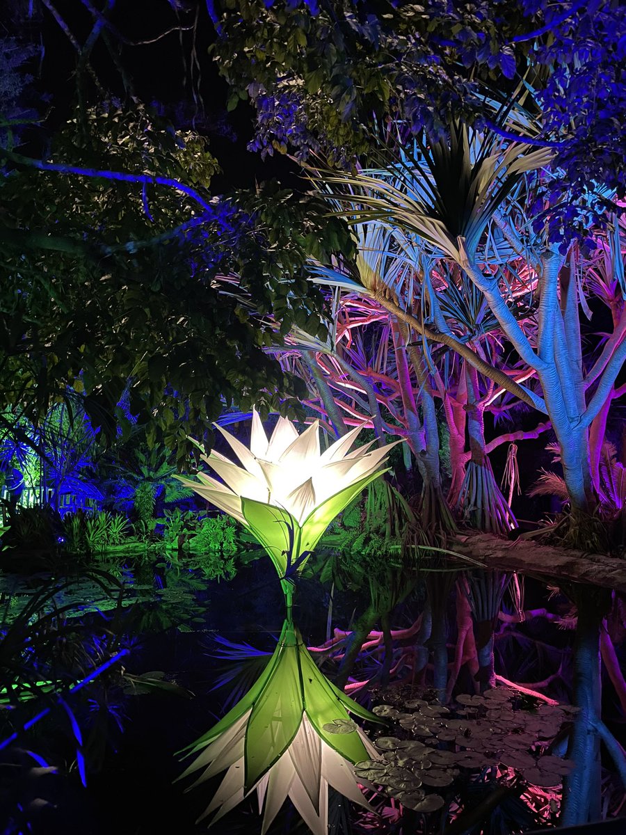Lightscape at San Diego Botanic Garden is pretty magical! Go check it out while it’s here!