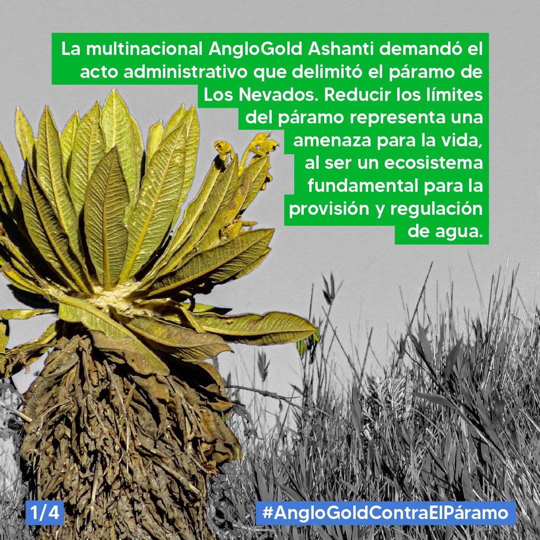 AngloGold pretende la modificación de la delimitación del páramo en una zona que coincide con la influencia del proyecto minero La Colosa que ha sido criticado por expertos y comunidades debido a los profundos y negativos impactos ambientales que genera #AngloGoldContraElPáramo