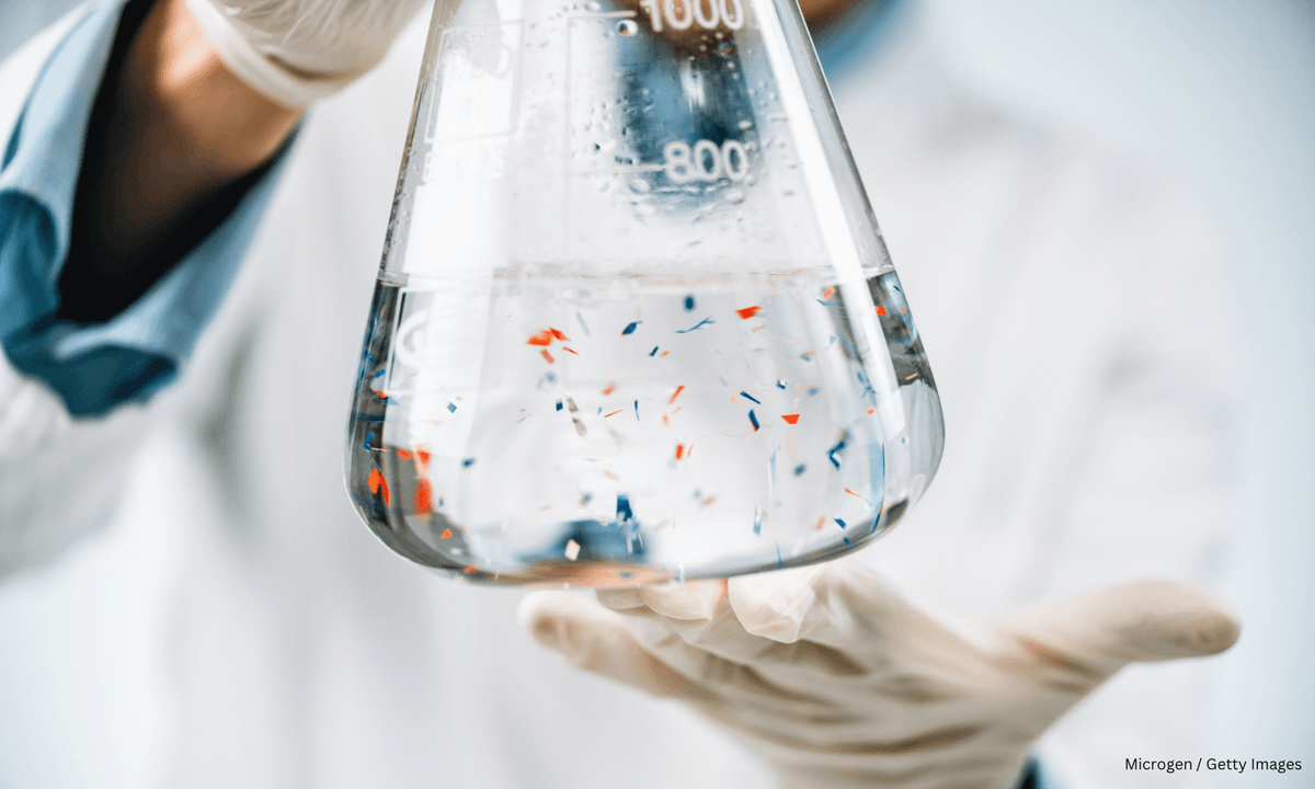 ISBAHQ's tweet photo. THREE DAYS LEFT TO APPLY!

Do you have an advanced degree in the field of marine sciences?@ISBAHQ is accepting proposals for consultancy services to assess the potential contribution of ISA to promoting research on plastic pollution in the Area. Apply now https://t.co/GxG86EWxwT https://t.co/X1BS2EmCHT