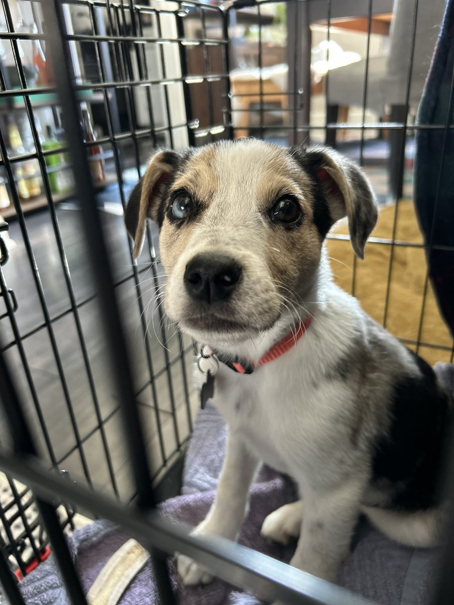 Katwater tweet media