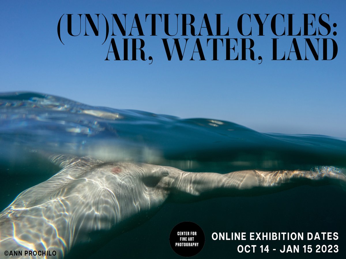 Have you seen our current exhibition "(Un)Natural Cycles: Air, Water, Land?"

Check it out here: bit.ly/3gde76l

#exhibition #onlineartgallery