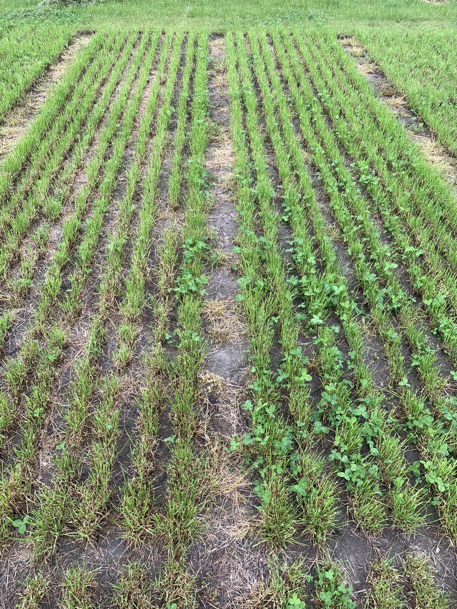 Mark Shand tweet media