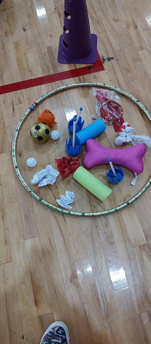 TanyaRFreeman's tweet photo. Climate change and global warming. We've gone on nature walks and played a relay game I learned at @NCSHAPE convention, #NCSHAPE22 The 3 R's, Reduce, Reuse, Recycle...one man's trash is another man's treasure😁 #PhysEd @UISSpartans https://t.co/AteCz3GSnK