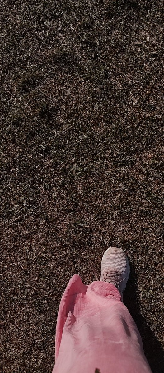 TanyaRFreeman's tweet photo. Climate change and global warming. We've gone on nature walks and played a relay game I learned at @NCSHAPE convention, #NCSHAPE22 The 3 R's, Reduce, Reuse, Recycle...one man's trash is another man's treasure😁 #PhysEd @UISSpartans https://t.co/AteCz3GSnK