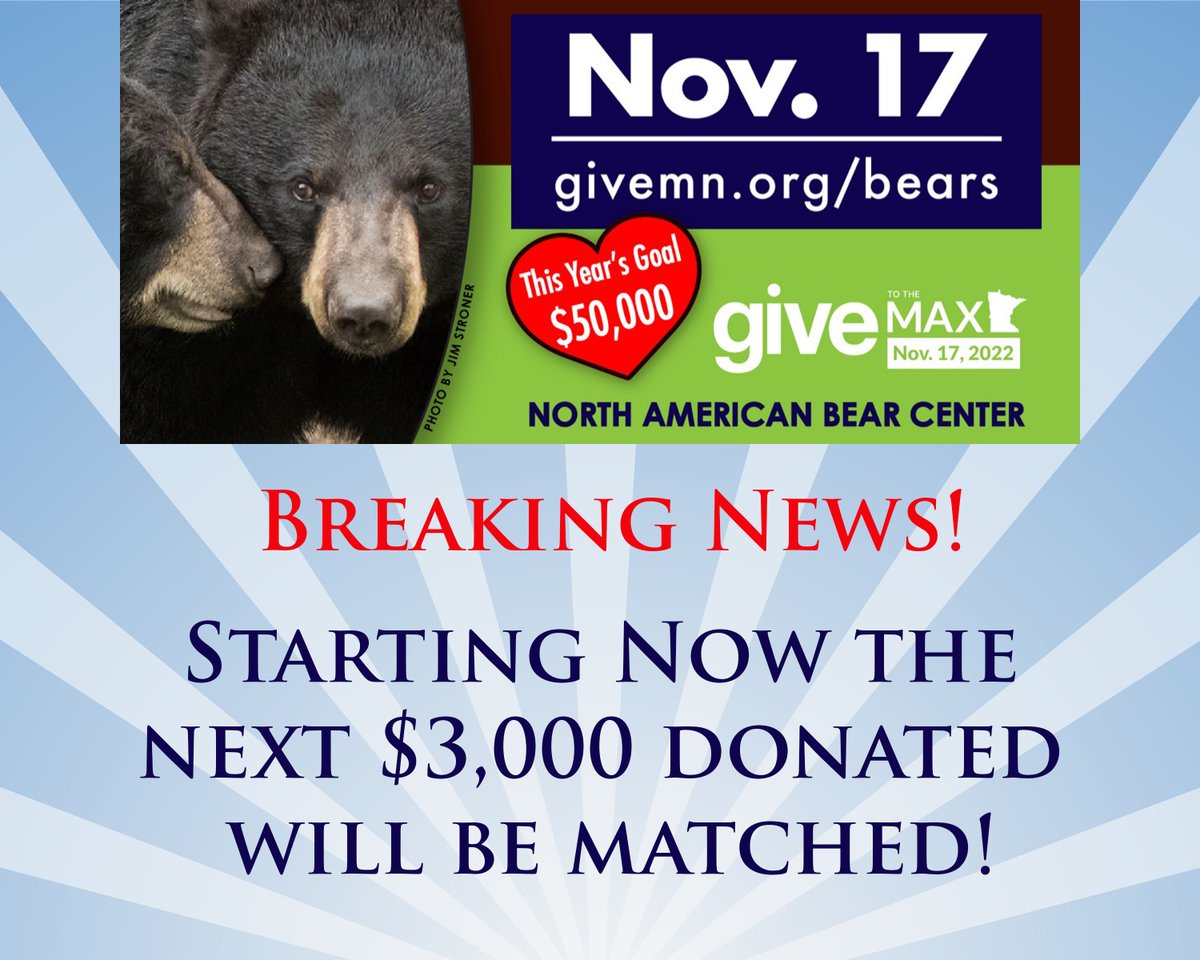 North American Bear Center tweet media